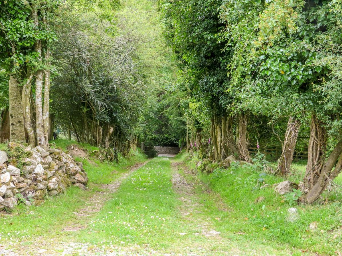 The Old White Cottage Shillelagh Extérieur photo